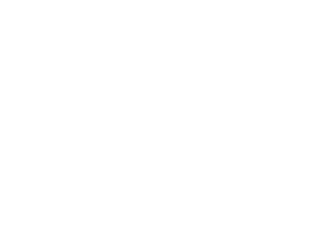 Angelo Cappellini